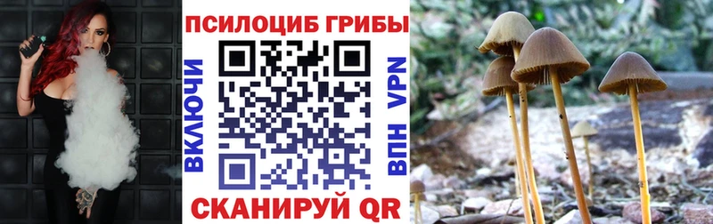 Псилоцибиновые грибы Magic Shrooms  Купить  Абдулино 